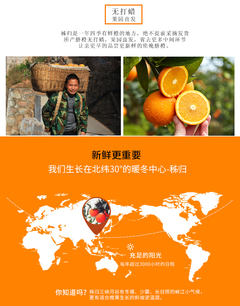 【为湖北助力】国家地理标志产品 中国脐橙之乡湖北秭归伦晚脐橙3斤装