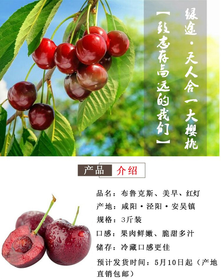 【布鲁克斯一级果】陕西大樱桃脆甜新品种布鲁克斯樱桃3斤装 单果24mm