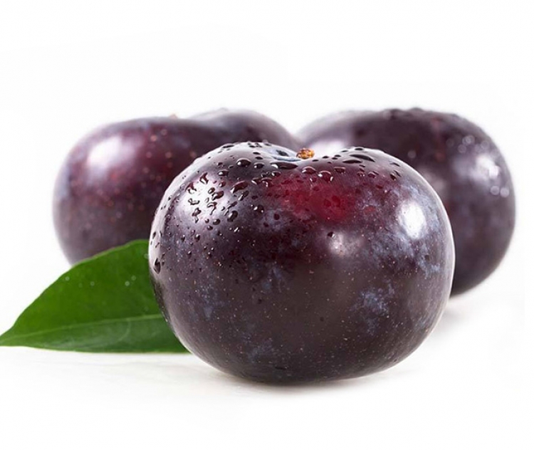 【当季鲜果】陕西现摘黑布林5斤装 果径50mm左右 酸甜爽口 脆嫩多汁